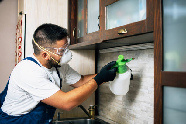 Best Pest Inspection Near Me  in Defuniak Springs, FL