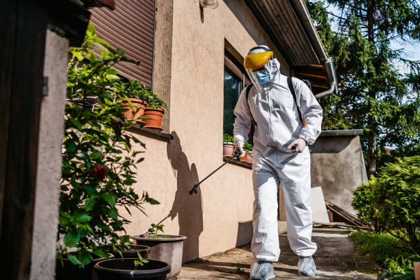 Wildlife Control Services in Defuniak Springs, FL