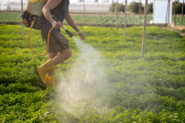  Defuniak Springs, FL Pest Control Pros