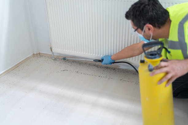 Best Pest Removal Services  in Defuniak Springs, FL